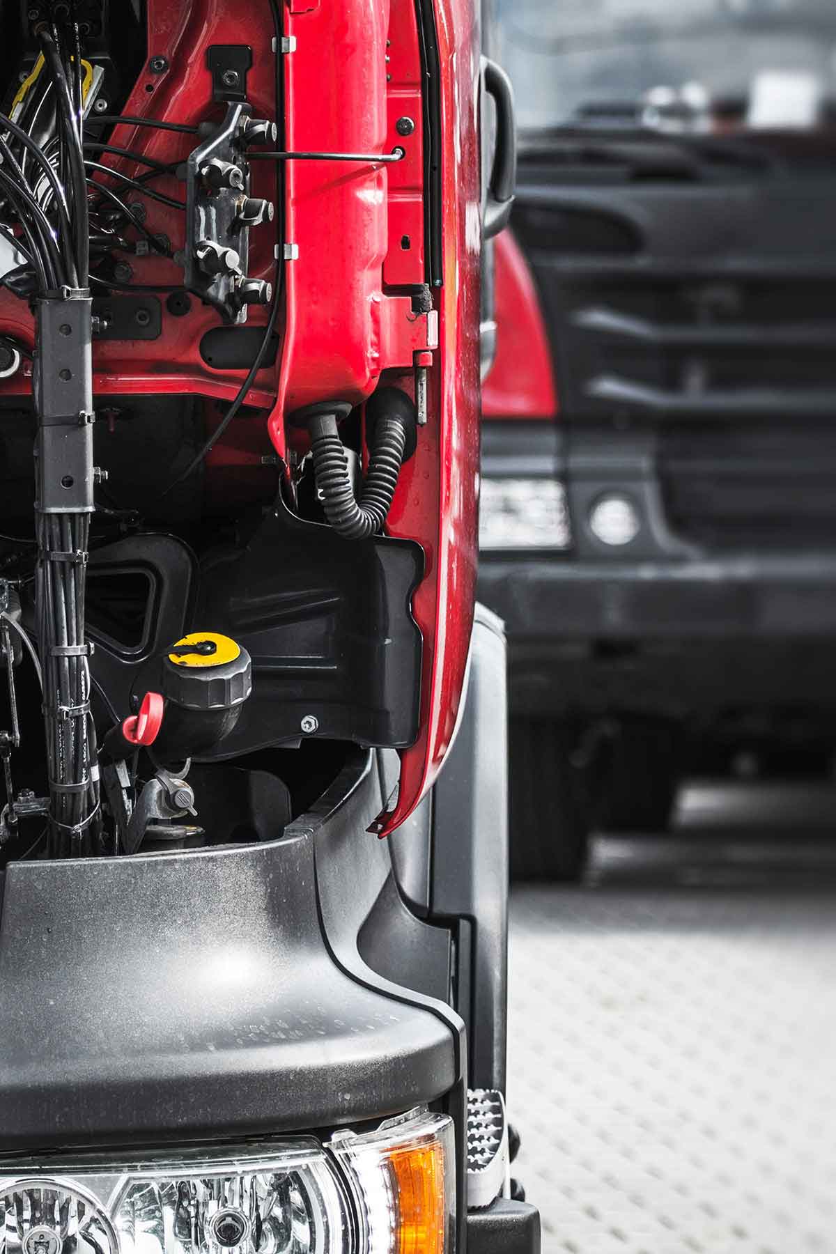 iso trailer officina
